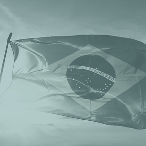 Team Page: Brazil Pioneering